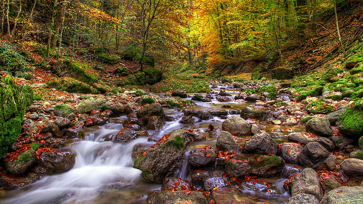 Beautiful Autumn Landscape Background Mountainous River Stone Forest With Autumn Colored Leaves Moss Karpi.zelena Hd Desktop Backgrounds Free Download 1920×1080