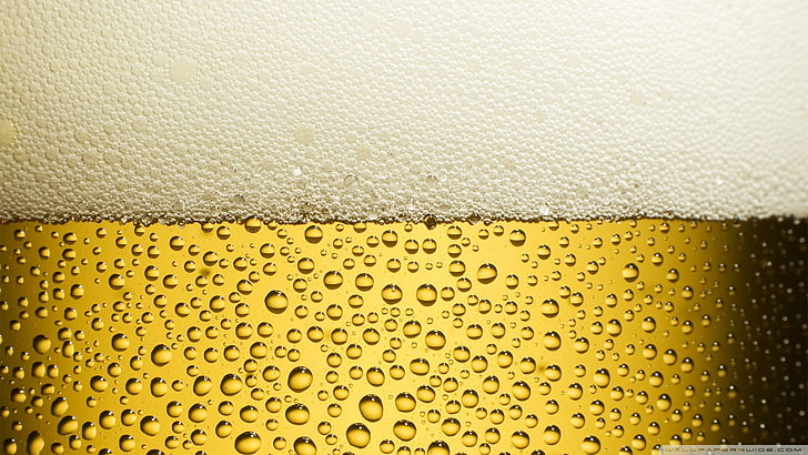 clear glass beer mug, alcohol, drink, drop, wet, refreshment, HD wallpaper