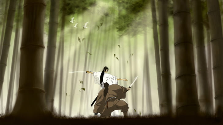 trees forest birds fighter grass bamboo samurai long hair duel kimono anime sunbeams swords 1920x Animals Birds HD Art
