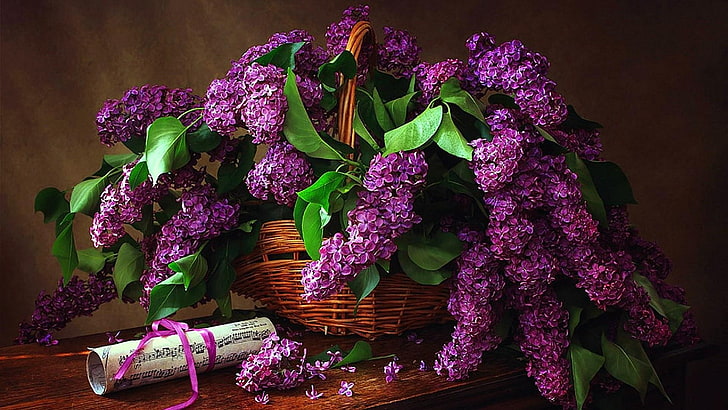 lilac flower, purple flower, basket, floristry, floral design, HD wallpaper