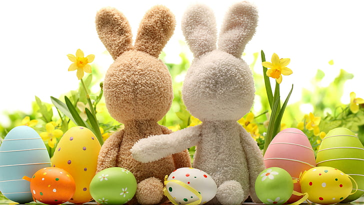 Bunny Couple Background Images, HD Pictures and Wallpaper For Free Download  | Pngtree