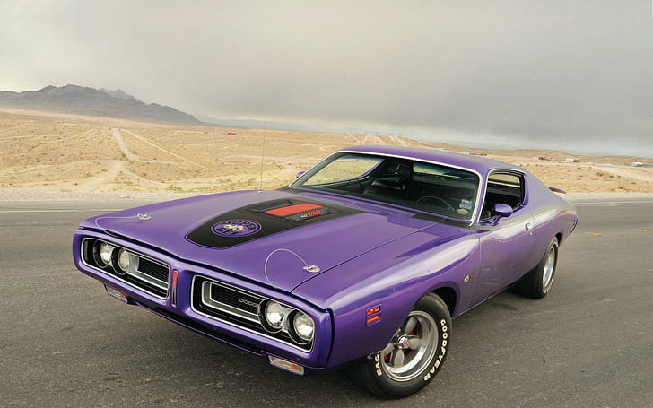 Dodge Super Bee, purple muscle car, landscape, road, 1971, cars