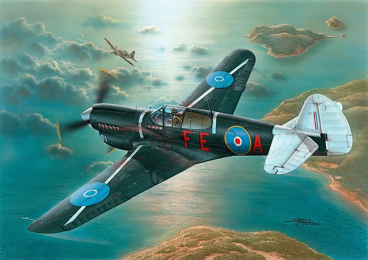 World War II, aircraft, airplane, Curtiss P-40 Warhawk, HD wallpaper
