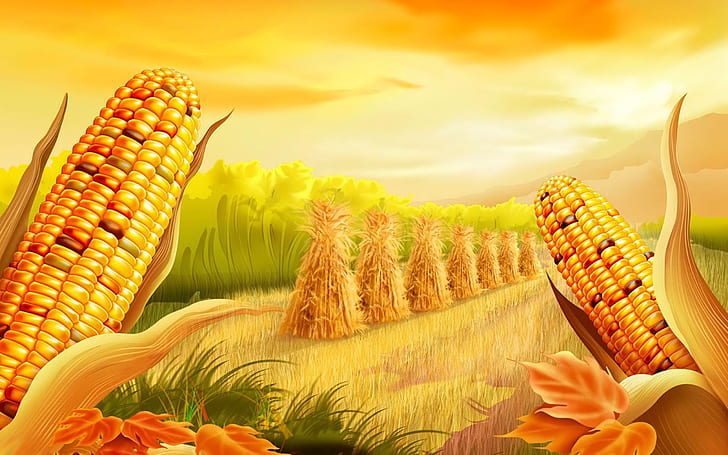 Heirloom Country Gentlemen Corn Seeds Bulk | Everwilde Farms