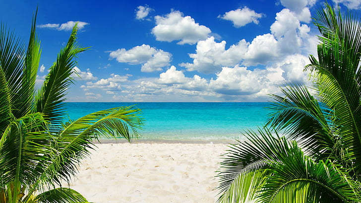 Tropical Paradise sunshine, beach, coast, Sea, sky, blue, emerald, HD wallpaper