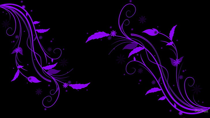 A Purple Spring, abstract, vines, black, widescreen, summer, flowers, HD wallpaper