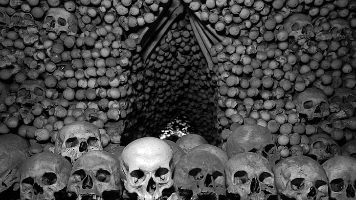 skull, bones, Czech Republic, monochrome, no people, history, HD wallpaper