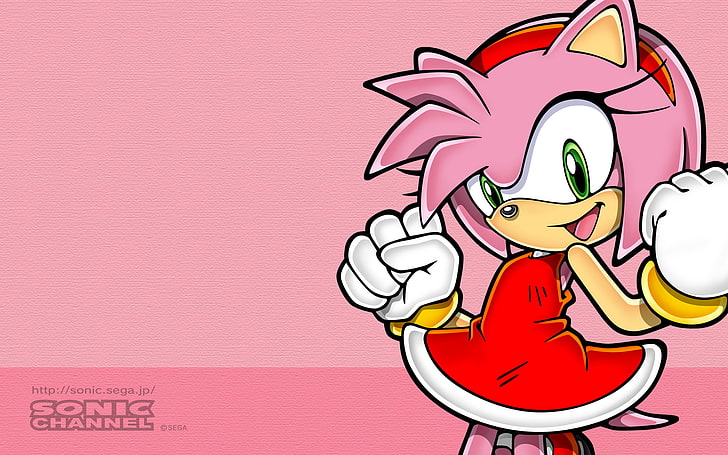 HD wallpaper: Sega, Sonic the Hedgehog, pink color, adult, people, women
