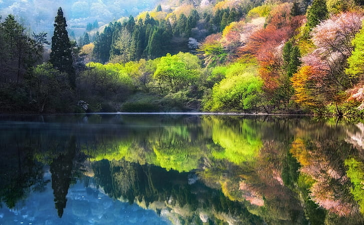 trees, nature, lake, spring, South Korea, The Republic of Korea
