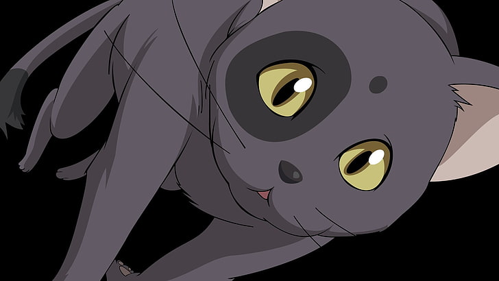 black anime cat, Code Geass, no people, illuminated, night, lighting equipment