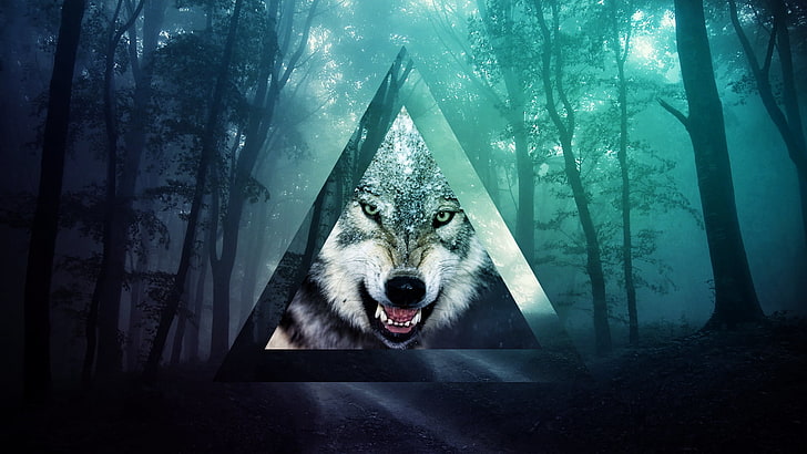 grey and white wolf illustration, triangle, forest, animal, animal themes, HD wallpaper