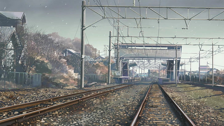 brown train track, rail, wire, grass, autumn, railroad Track