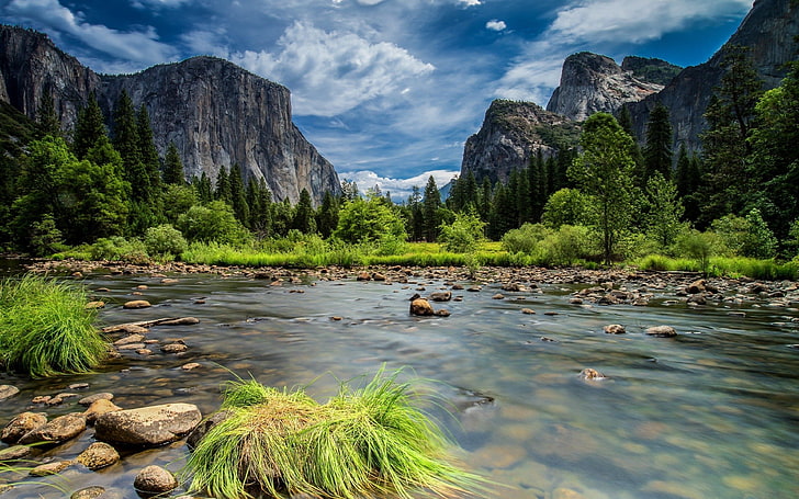 Beautiful Mountain River With Clear Water Riverbed With Rocks And Green Grass, Pine Trees, Mountains Cliff Sky With White Clouds Sierra Nevada Mountains Yosemite National Park