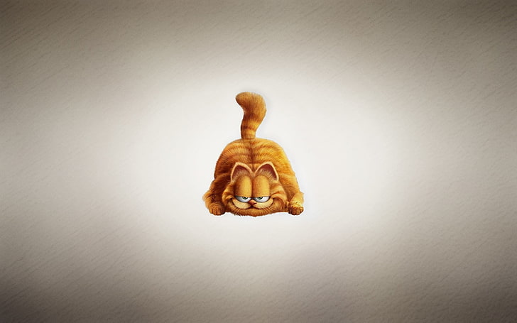 Garfield wallpaper, cat, red, light background, chubby, a cunning face, HD wallpaper