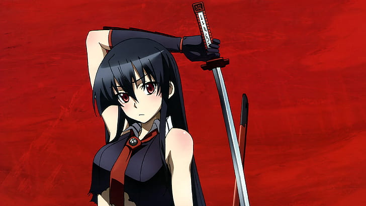 Akame ga Kill Katana, black hair woman with sword anime character, HD wallpaper