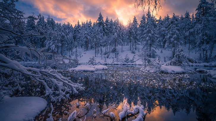 winter, ringerike, nature, snow, wilderness, norway, sky, europe, HD wallpaper