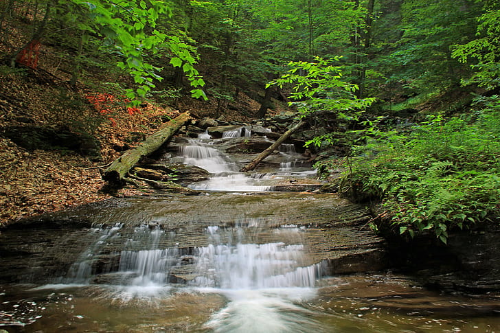tiered river surrounded with trees, Falls Run, Lower End, Pennsylvania