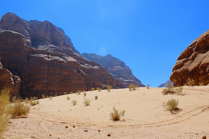 desert, sand, shrubs, rock, clear sky, cyan, daylight, HD wallpaper