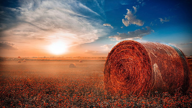 brown hay, sunlight, clouds, haystacks, sky, cloud - sky, bale, HD wallpaper