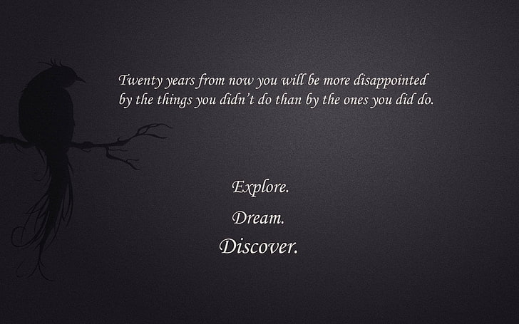 HD wallpaper: Explore, Dream, Discover text with black background, Mark  Twain | Wallpaper Flare