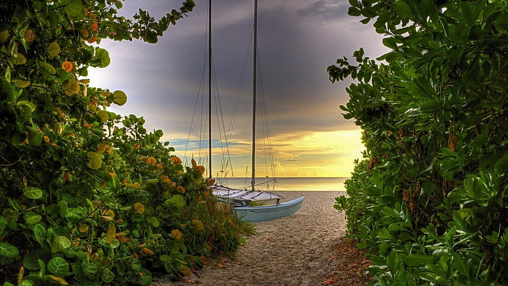 720x1208px | free download | HD wallpaper: road, sea, yacht, greens, sand,  beach, mast, nature, plant | Wallpaper Flare