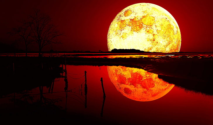 Blood Moon, water, sky, reflection, nature, night, scenics - nature, HD wallpaper