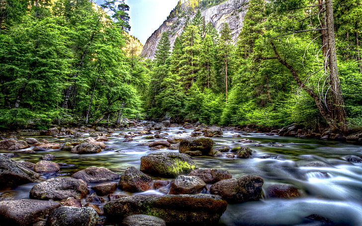 Beautiful mountainous river-riverbed with rocks-pine forest with green trees-Park Yosemite National Park-California-USA-Desktop HD Wallpaper-5200×3250