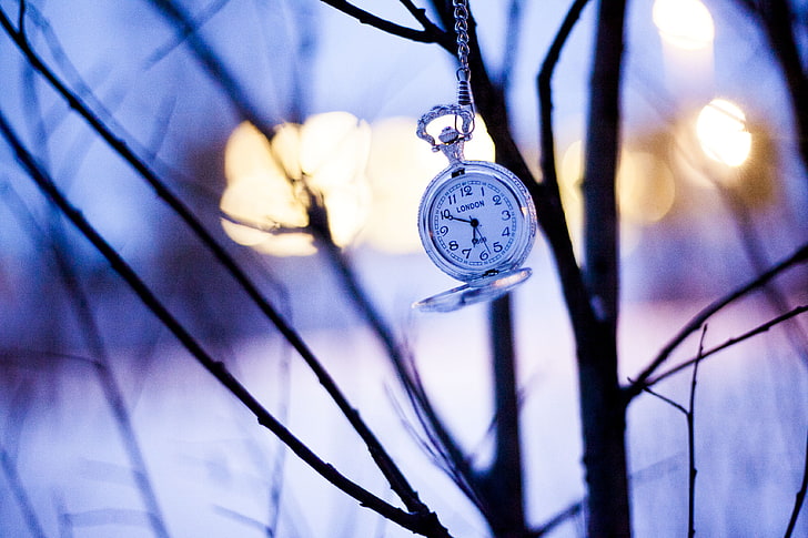 silver-colored pocket watch, watches, branches, winter, clock