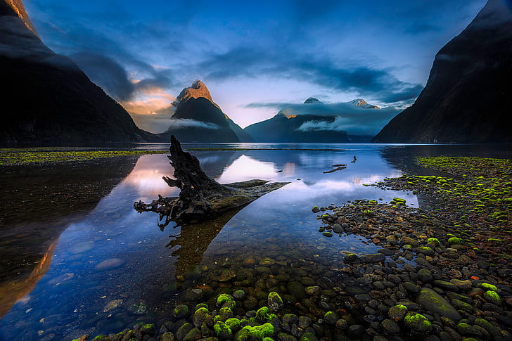 New Zealand, Piopiotahi, South island, the fjord Milford Sound, HD wallpaper
