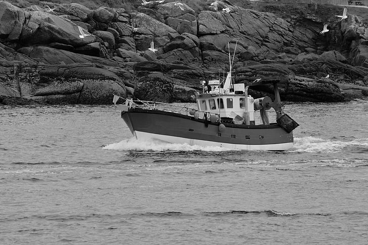 bateau, chalutier, la navigation, noir et blanc, pche en mer, HD wallpaper