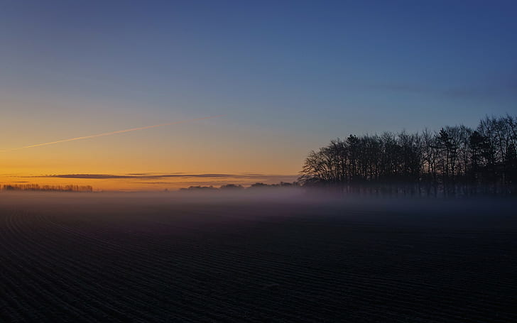 landscape, field, plains, sunrise, mist, orange sky, HD wallpaper