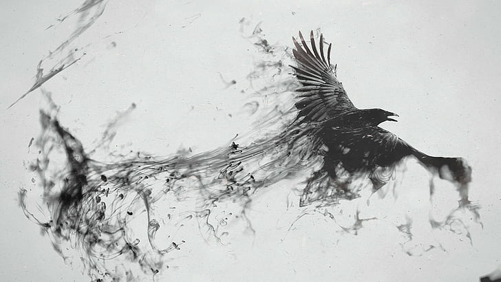 creativity, crow, birds, monochrome, ink, raven, artwork, digital art, HD wallpaper