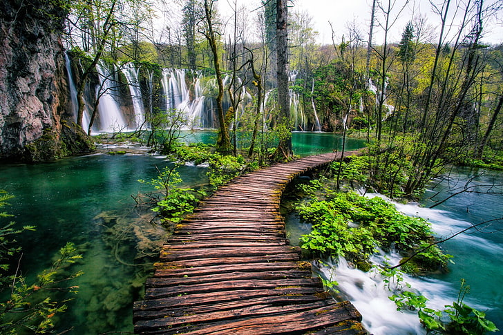 Waterfalls, Bridge, Earth, Plitvice Lakes National Park, Tree