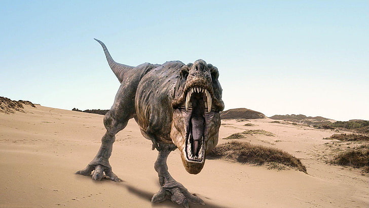 prehistoric animals, t-rex, dinosaurs, animal themes, sand, HD wallpaper