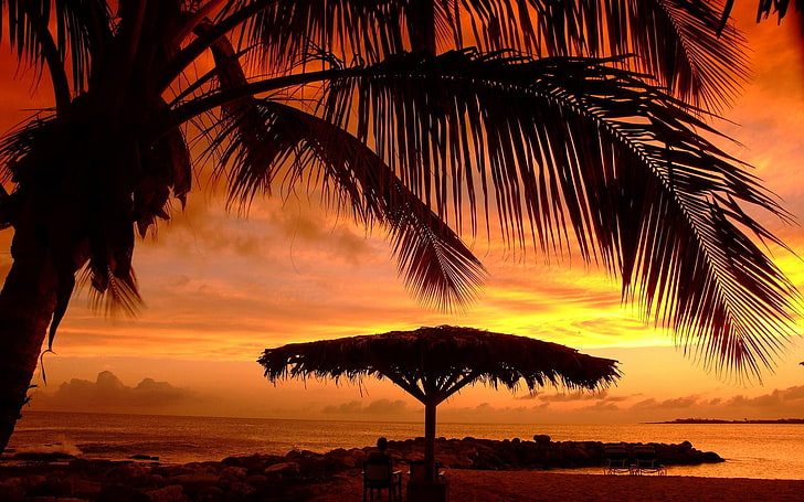 nature, landscape, sunset, umbrella, beach, palm trees, sea, HD wallpaper