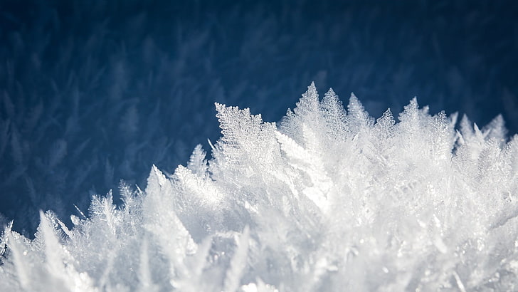nature, landscape, winter, snow, ice, frost, closeup, cold temperature, HD wallpaper