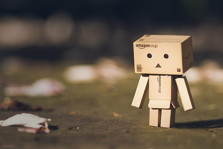 photo of DIY human-shaped cardboard, Autumn, Feelings, danbo
