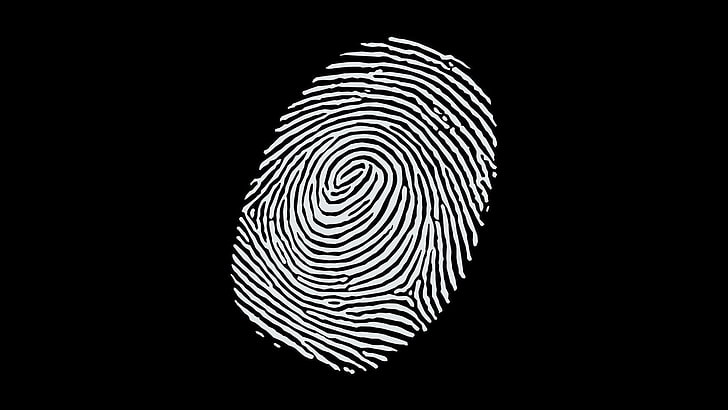 Fingerprint Scanner On Phone Screen Biometric Identification And Approval  Concept Stock Illustration - Download Image Now - iStock