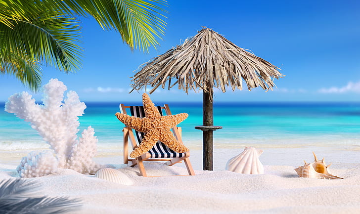 sand, sea, beach, summer, star, vacation, shell, palms, tropical, HD wallpaper