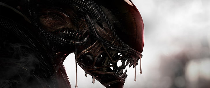 Alien (movie), movies, Xenomorph, no people, close-up, arts culture and entertainment, HD wallpaper