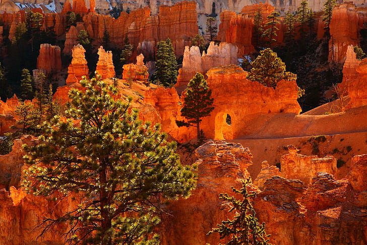 Parks Usa Bryce Canyon Utah Nature High Quality, deserts, HD wallpaper