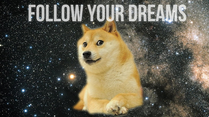 Doge with text overlay, inspirational, animals, motivational, HD wallpaper