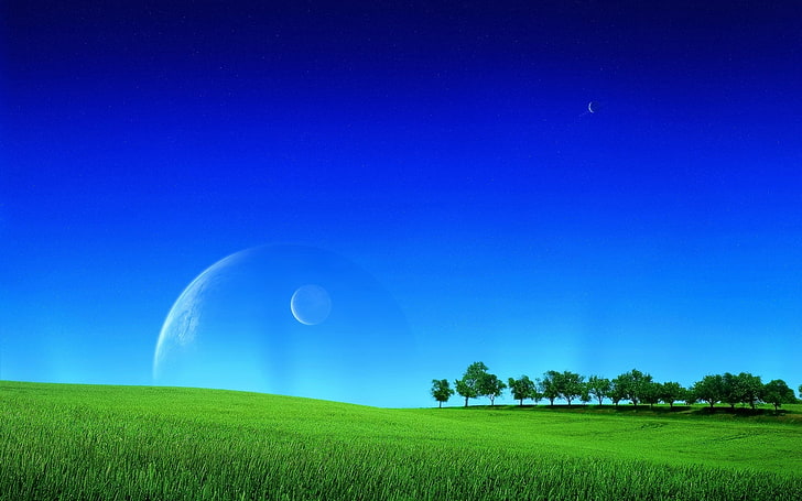 green leafed trees, grass, greens, field, lawn, sky, planets