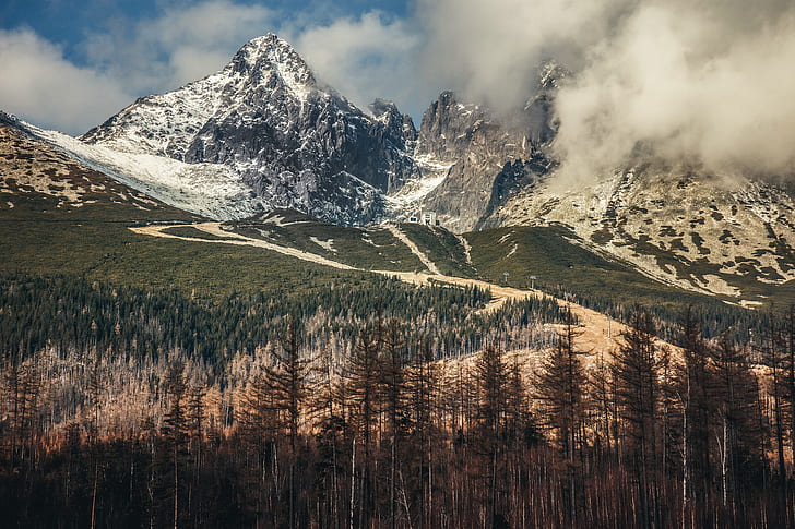 forest, mountains, High Tatras