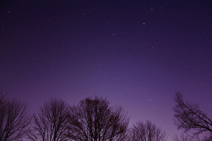 astronomy, astrophotography, late, night, sky, stars, star - space