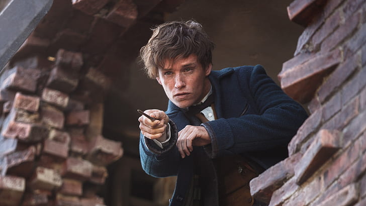 fantastic beasts and where to find them 4k pic hd