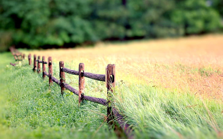 Nature landscape, fence, grass, blur background, brown wooden fence