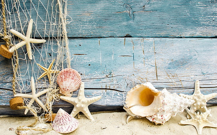 Seashells, starfish, sand, wood