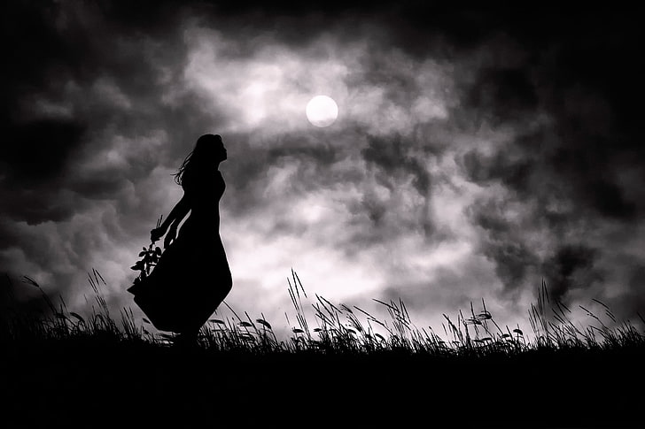 silhouette of woman digital wallpaper, girl, night, the moon