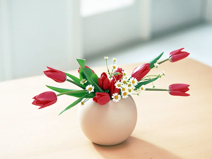 red tulip arrangement, tulips, daisies, flowers, bouquet, vase
